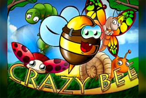 Crazy Bee