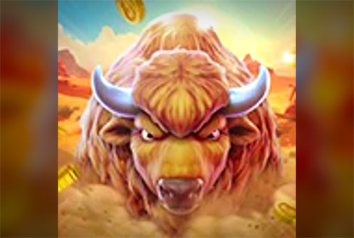 CRAZY BUFFALO