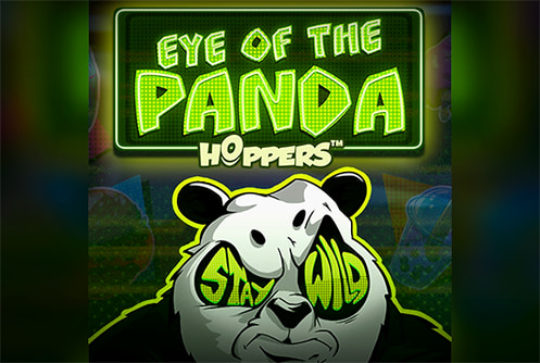 Eye of the Panda