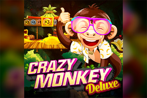 Crazy Monkey Deluxe