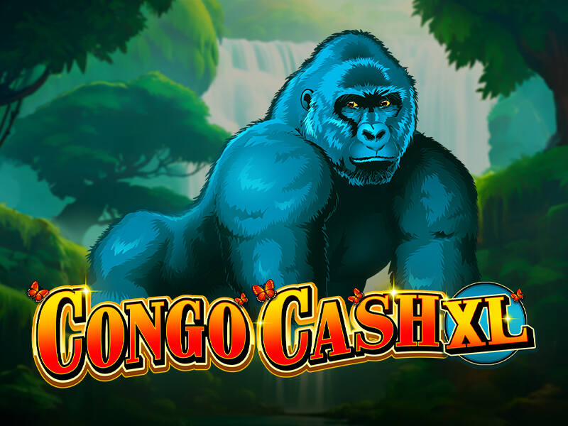 Congo Cash XL