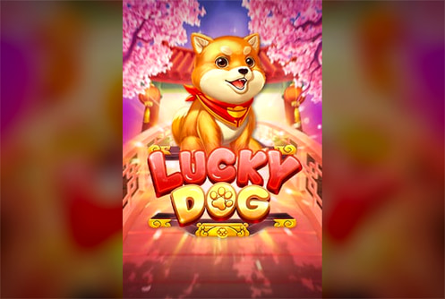 Lucky Dog
