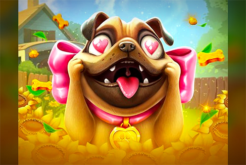 Go High® Puppy Love
