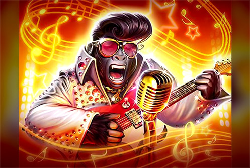 Rockin’ Gorilla